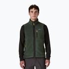Gilet da uomo Patagonia Retro Pile Fleece old growth green