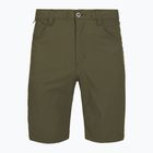Pantaloncini da trekking da uomo Patagonia Quandary Basin Green