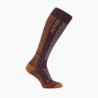 Calze da sci uomo Icebreaker Merino Ski+ Medium OTC java/trail/seaglass
