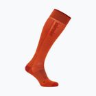 Calze da sci uomo icebreaker Merino Ski+ Ultralight OTC fervid/agate