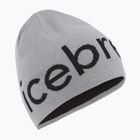 Cappello invernale icebreaker Merino Icebreaker Beanie alloy/black