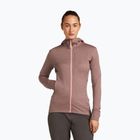 Icebreaker donna Merino 260 Quantum IV Zip Felpa con cappuccio summit/blush