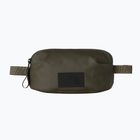 Marsupio The North Face BCV Pro Travel new taupe green/tnf black