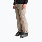 Pantaloni da sci da uomo The North Face Descendit stone slab