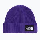 Cappello invernale The North Face Salty Lined peak purple