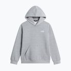 Felpa bambini The North Face Evolution Simple Dome Pullover Hood tnf pale grey heather