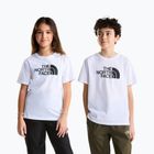 Maglietta per bambini The North Face Evolution Half Dome SS Tee tnf white