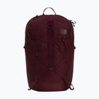 Zaino da trekking The North Face Borealis Trail 27 l deep burgundy