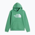 Felpa bambini The Noryh Face Essential Drew Peak Hoodie dimmed algae