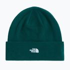 Cappello invernale The North Face Norm Beanie hunter green