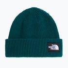 Cappello invernale The North Face Salty Lined pacific teal