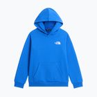 Felpa bambini The North Face Evolution Box NSE Pullover Hoodies active blue