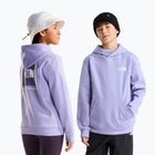 Felpa bambini The North Face Evolution Box NSE Pullover Hoodies pale plum