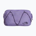 Marsupio cintura The North Face Terra Lumbar 1 l grounded plum/endless