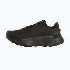 Scarpe da corsa uomo Buty The North Face Altamesa 500V2 GTX tnf black/tnf black