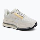 Scarpe da running donna Nike Pegasus Premium sail/alabaster/anthracite/white