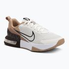 Scarpe da ginnastica da uomo Nike Air Max Alpha Trainer 6 vela/marrone barocco/canapa/polvere del deserto