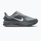 Scarpe da running uomo Nike Pegasus Premium wolf grey/cool grey/anthracite/sail