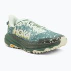 Scarpe da corsa da uomo HOKA Speedgoat 6 GTX sa glass/fern