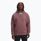 Felpa da uomo Under Armour Project Rock Icon Hoody maroon mist/black