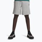 Pantaloncini da allenamento da uomo Under Armour Rival LW mod gray light heather/black