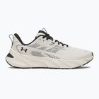 Scarpe da allenamento uomo Under Armour FLX TR summit white/black/black