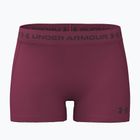 Pantaloncini da allenamento da donna Under Armour HeatGear Shorty claret/ox blood