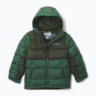 Giacca imbottita per bambini Columbia Pike Lake II Hooded Rain Forest/Greenscape