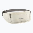 Cintura da corsa Salomon Pulse Sling icicle / castlerock