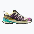 Scarpe da corsa da donna Salomon XA PRO 3D V9 GTX giallo trasparente/nero/cascata