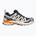 Scarpe da corsa uomo Salomon XA Pro 3D V9 black/gull