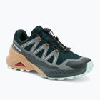 Scarpe da corsa da donna Salomon Speedcross Peak GTX scarab/soft clay/bay