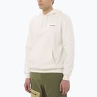 Felpa da uomo Salomon Chest Logo Hoodie whisper white