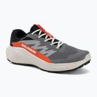 Scarpe da corsa uomo Salomon Alphaglide GTX castlerock/lunar rock