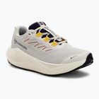 Scarpe da corsa da donna Salomon Aero Blaze 3 Gravel GTX vanilla ice/astral aura/lemon