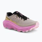 Scarpe da corsa da donna Salomon Ultra Flow 2 etherea/cyclamen/black