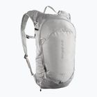 Zaino da trekking Salomon Trailblazer 10 l cloudburst/paloma/silver