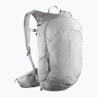 Zaino da trekking Salomon Trailblazer 20 l cloudburst/paloma/silver
