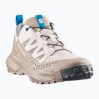 Scarpe da trekking da uomo Salomon Techamphibian 5 rainy day/desert tan/mykonos blue