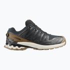 Scarpe da running da uomo Salomon XA PRO 3D V9 GTX Lifelong black/coyote brown/vanilla ice