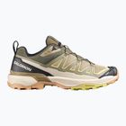 Scarpe da trekking da uomo Salomon X Ultra 360 Edge aloe/slate green