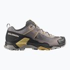 Scarpe da trekking da uomo Salomon X Ultra 5 cloudburst/black/willow