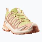 Scarpe da running da donna Salomon XA Pro 3D V9 endive/burro/almond cream