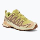 Scarpe da running da donna Salomon XA Pro 3D V9 endive/burro/almond cream