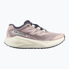 Scarpe da running da donna Salomon Aero Blaze 3 GRVL shadow gray/vanilla ice/9iron