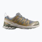 Scarpe da running da uomo Salomon XA Pro 3D V9 sedona sage/plantation/paloma