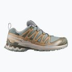Scarpe da corsa uomo Salomon XA Pro 3D V9 GTX sedona sage/brilliant olive