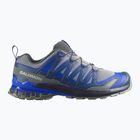 Scarpe da corsa uomo Salomon XA Pro 3D V9 wrought iron/spellbound