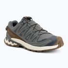 Scarpe da corsa uomo Salomon XA Pro 3D V9 GTX Lifelong sedona sage/coyote brown