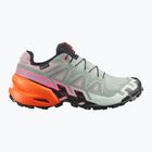 Scarpe da corsa donna Salomon Speedcross 6 GTX Icon black/green milieu
